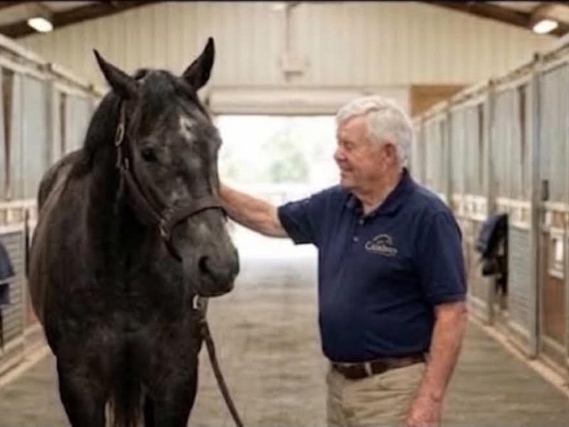 Frankie Cambron petting a black horse in the stable