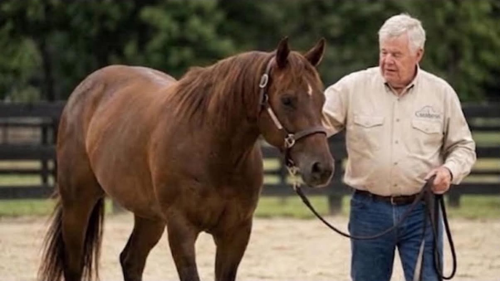 Frankie Cambron leading a horse at his District 4 farm